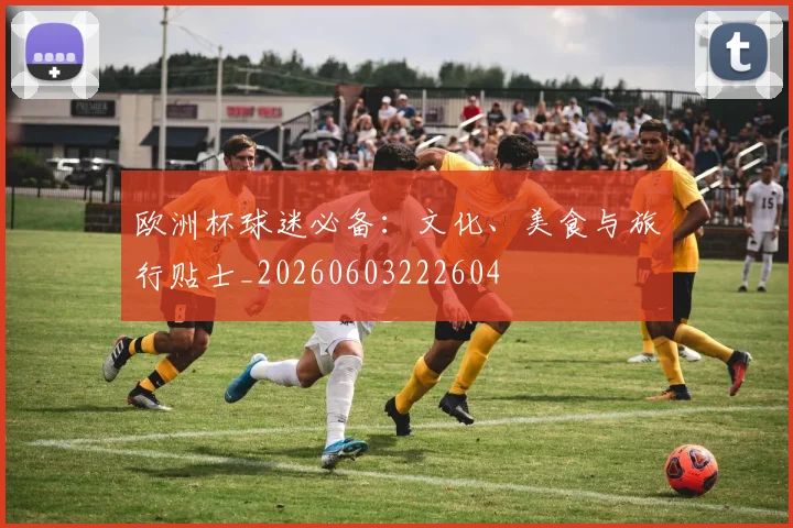 欧洲杯球迷必备:文化、美食与旅行贴士_20260603222604